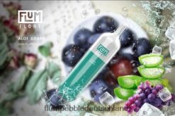 FLUM PEBBLE Kaufen Deutschland | FLUM FLOAT 3000 Züge Aloe-Traube H4J80V2