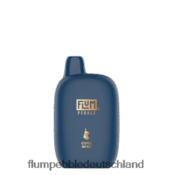 FLUM PEBBLE Kaufen | FLUM PEBBLES 6000 Züge (Weihnachtsausgabe) kühle Minze H4J80V34