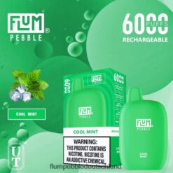 FLUM PEBBLE Kaufen | FLUM PEBBLES 6000 Züge kühle Minze H4J80V24