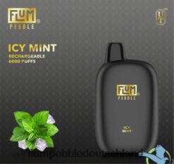 FLUM PEBBLE Store | FLUM PEBBLES 6000 Züge eisige Minze H4J80V49