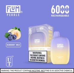 FLUM PEBBLE Vape | FLUM PEBBLES 6000 Züge Blaubeermelo H4J80V16