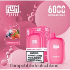 FLUM Puff Count | FLUM PEBBLES 6000 Züge Beerenmelone eisig H4J80V7