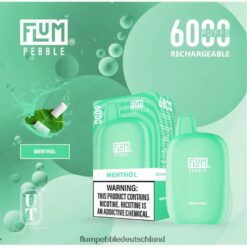 FLUM Puff Count | FLUM PEBBLES 6000 Züge Menthol H4J80V57