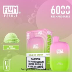 FLUM Vape Bestellen | FLUM PEBBLES 6000 Züge Melo-Eis H4J80V55