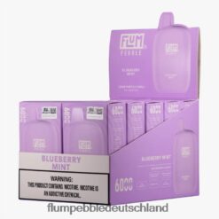 FLUM Vape Store | FLUM PEBBLES 6000 Züge 10 Packungen Blaubeerminze H4J80V18