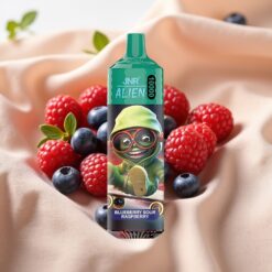 JNR Alien 10000 Puffs 850mAh 20ml Typ-C RGB Blueberry Sour Raspberry