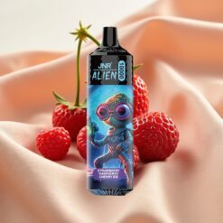 JNR Alien 10000 Puffs 850mAh 20ml Typ-C RGB LED Erdbeere Himbeere Kirsche Eis