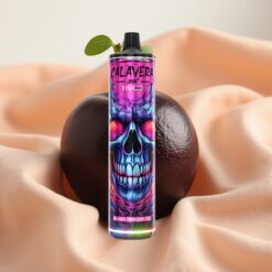 JNR Calavera 11000 Puffs Disposable Vape Black Dragon Ice Typ-C 850mAh 21ml 1.0Ohm 0/2/5%