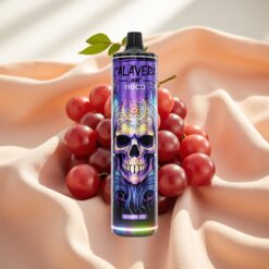 JNR Calavera 11000 Puffs Disposable Vape Grape Ice 21ml 850mAh Type-C 1.0ohm