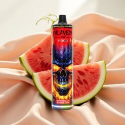 JNR Calavera 11000 Puffs Disposable Vape Typ-C 850mAh 21ml 1.0Ohm Wassermelone Bubble Gum