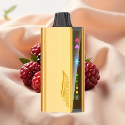 JNR Cruiser 12000 Puffs 3500mAh 25ml No-Charge Disposable Vape Blackberry Ice