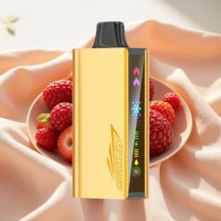 JNR Cruiser 12000 Puffs No-Charge 3500mAh 25ml Dual Mesh 50mg Mixed Berry