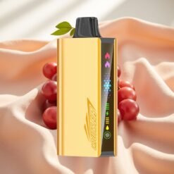 JNR Cruiser 12000 Puffs No-Charge 3500mAh 25ml Dual Mesh Grape Ice