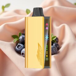 JNR Cruiser 12000 Puffs No-Charge Disposable Vape Blueberry Blast 3500mAh 25ml Dual Mesh