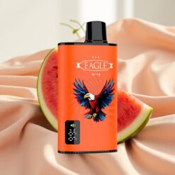JNR EAGLE Smart 23000 Puffs Digital Screen 1.0ohm Mesh 25ml 2% Wassermelonengummi