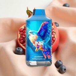 JNR Falcon 16000 Puffs 850mAh 22ml Dual Mesh Coil Type C & Lightning Smart LED Display 0%2% Blueberry Pomegranate Ice