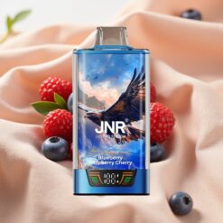 JNR Falcon Pro 28000 Disposable Vape Blueberry Raspberry Cherry 30ml 950mAh 5% Smart Display Dual Mesh USB-C MTL