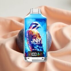 JNR Falcon X 18000 Puffs 24ml 750mAh Dual Mesh Coil Typ-C Mr. Blue