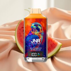 JNR Falcon X 18000 Puffs 24ml 750mAh Dual Mesh Coil Type-C Wassermelone Bubblegum