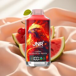 JNR Falcon X 18000 Puffs 750mAh 24ml Dual Mesh Coil Cherry Watermelon Freeze