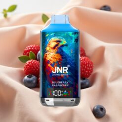 JNR Falcon X 18000 Puffs 750mAh 24ml Dual Mesh Coil Digital Display Type-C 0/2/5% Blueberry Raspberry