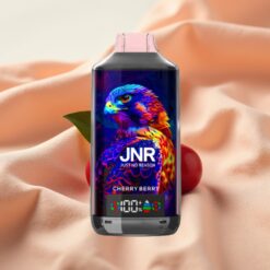JNR Falcon X 18000 Puffs 750mAh 24ml Dual Mesh Coil Digital Display Type-C Cherry Berry