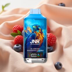 JNR Falcon X 18000 Puffs 750mAh 24ml Dual Mesh Digital Display Type-C 0/2/5% Blueberry Raspberry Cherry