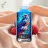 JNR Falcon X 18000 Puffs Dual Mesh Coil Digital Display Type-C Blau Razz Eis