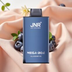 JNR Mega Box 25000 Puffs 30ml 850mAh Dual Mesh Coil Type-C Blueberry Ice