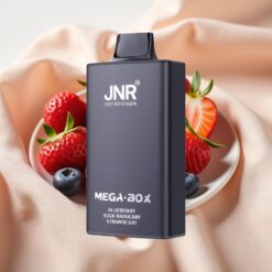 JNR Mega Box 25000 Puffs 30ml 850mAh Dual Mesh Typ-C 2% Blueberry Sour Raspberry Erdbeer
