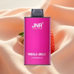 JNR Mega Box 25000 Puffs 30ml 850mAh Dual Mesh Typ-C 2% Erdbeer-Eis