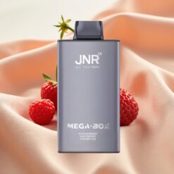JNR Mega Box 25000 Puffs 30ml 850mAh Dual Mesh Typ-C 2% Erdbeere Himbeere Kirsche Eis