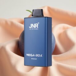 JNR Mega Box 25000 Puffs Dual Mesh Coil 30ml 850mAh Type-C Mr Blue