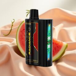 JNR Radiance 31000 Puffs 28ml 2% Nikotin Dual Mesh Coil Wassermelone Eis Disposable Vape