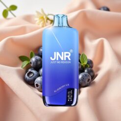 JNR Rainbow 10500 Puffs 18ml 0.8ohm Mesh 600mAh Disposable Vape Blueberry Ice