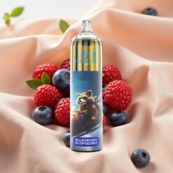 JNR Rocket-X 12400 Puffs 25ml 850mAh RGB Luftstrom regulierbar Typ-C Blaubeere Himbeere