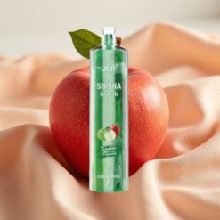 JNR Shisha Hookah 12000 Puffs 24ml 750mAh Typ-C Doppelapfel