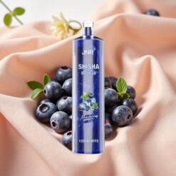 JNR Shisha Hookah 12000 Puffs 750mAh 24ml 0,6Ω Mesh Typ-C Blueberry Ice