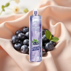 JNR Shisha Hookah 12000 Puffs 750mAh 24ml 0,6 Ohm Mesh Type-C Blueberry Mint