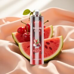 JNR Shisha Hookah 12000 Puffs 750mAh 24ml Cherry Watermelon Freeze Typ-C
