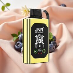 JNR Shisha Hookah Box 20500 Puffs HD Display 1000mAh 25ml Dual Mesh Coil Type-C Blueberry Ice