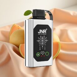 JNR Shisha Hookah Box 20500 Puffs HD Display 1000mAh 25ml Typ-C Doppelmelone Minze