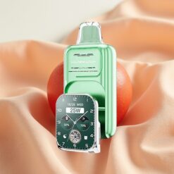 JNR VapeWatch 30000 Puffs 1000mAh 19mL 5% Dual Mesh Coil Type-C Miami Mint