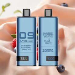 Lavie Cube 20000 Puffs 28ML 2%/5% Salz Nikotin 600mAh Typ C Blueberry Raspberry Grape Ice