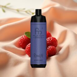 RandM Fumot Shisha 10000 Puffs 18ml 850mAh 0.6Ω Type-C Berry Mint