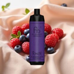 RandM Fumot Shisha 10000 Puffs 18ml 850mAh 0.6ohm Typ-C 0.5% Blueberry Sour Raspberry