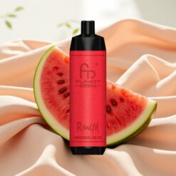 RandM Fumot Shisha 10000 Puffs 18ml 850mAh 0.6ohm Typ-C 0.5% Nikotin Wassermelone Eis