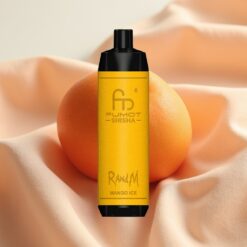 RandM Fumot Shisha 10000 Puffs 18ml 850mAh 0.6ohm Typ-C Mango Ice