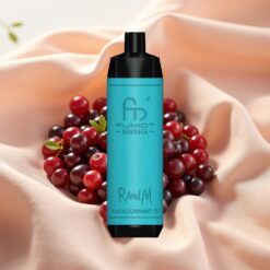 RandM Fumot Shisha 10000 Puffs 18ml 850mAh 0.6ohm Typ-C Schwarzbeer-Eis