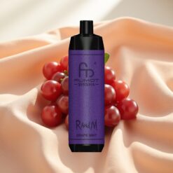 RandM Fumot Shisha 10000 Puffs 18ml 850mAh Typ-C 0.6Ω Grape Mint 0.5% Nikotin